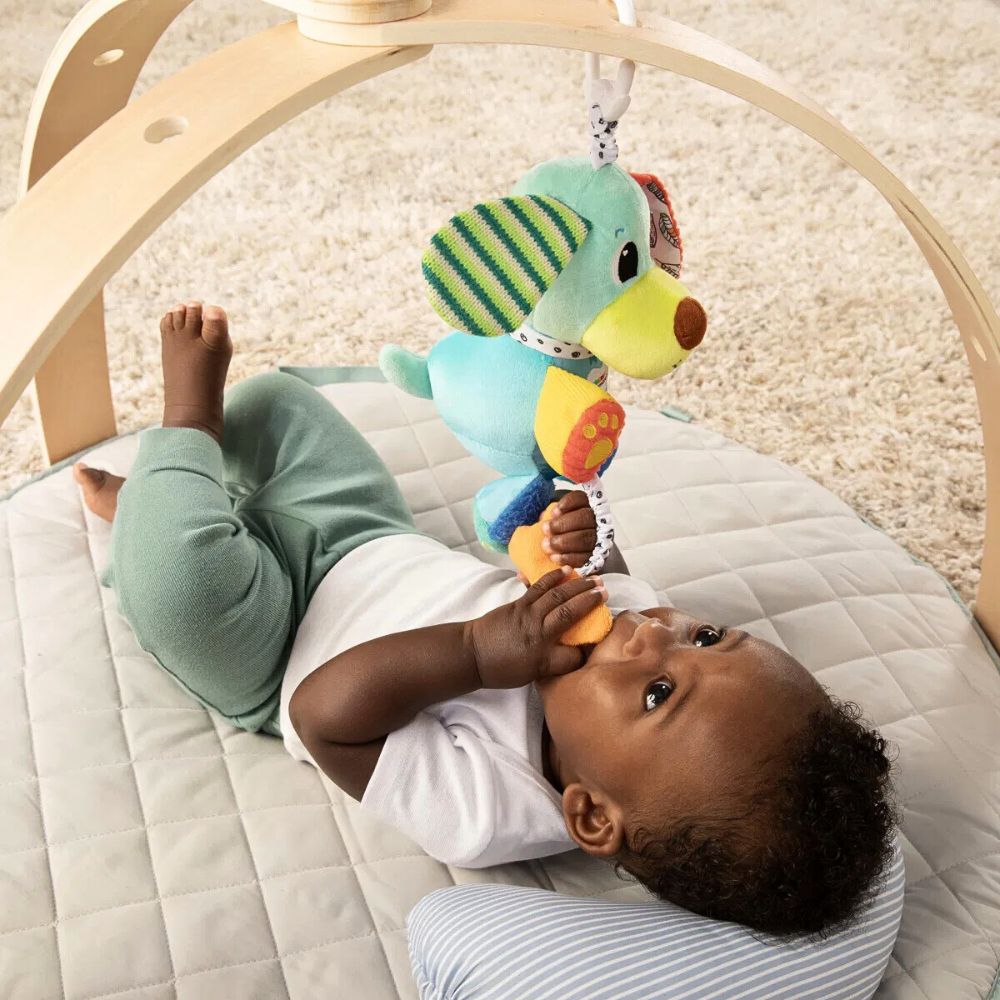 Lamaze Interaktiv Pupsqueak Valp med Bjeffelyd, Knitring og Rangle - bilde 9