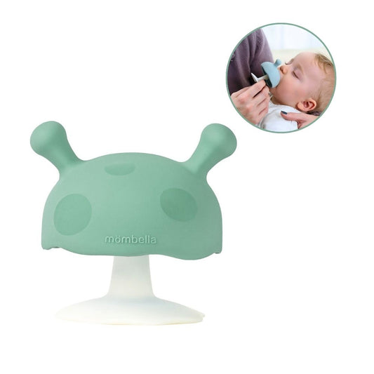 Mombella Eukalyptus Mimi Soppformet Biteleke